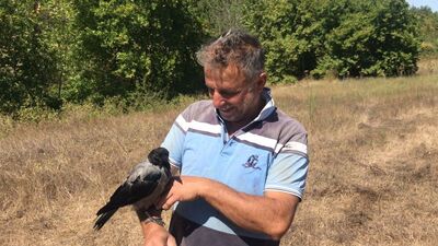 Kediye yem olmaktan kurtardı... Yanından ayrılmıyor