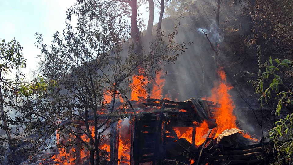 Görme engelli çocuk anneannesinin hayatını kurtardı