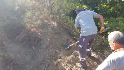 27 köpek bir anda ortadan kayboldu!