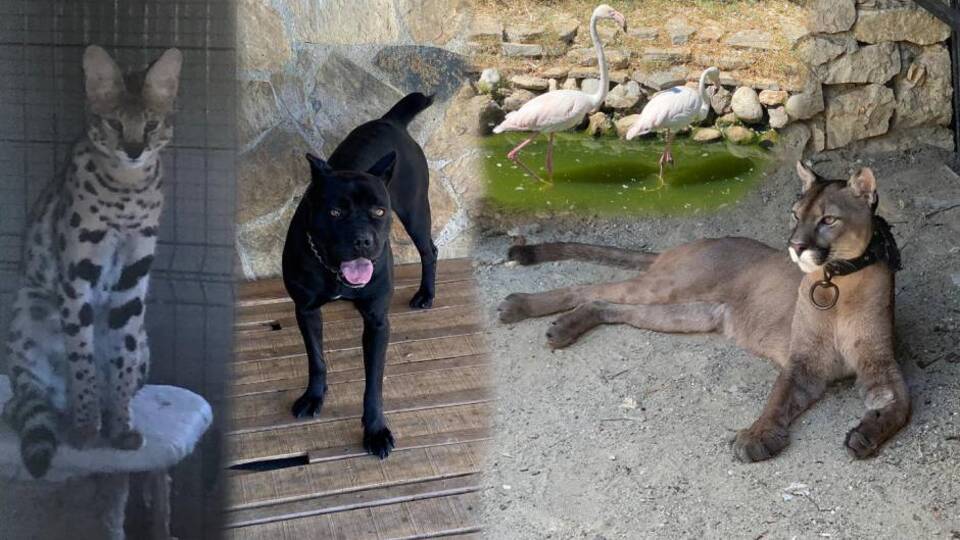 Polisi şaşırtan operasyon!