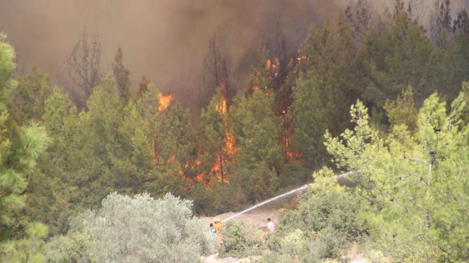 Antalya'daki yangın kontrol altında
