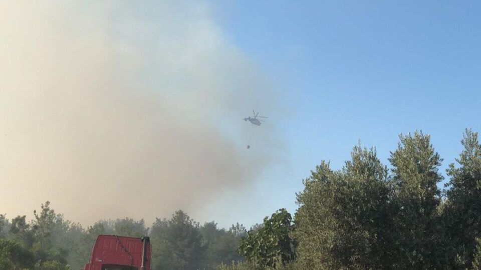 Bursa ve İzmir'de orman yangını