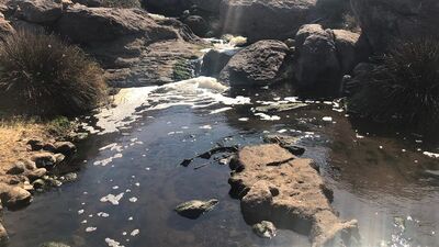 Bodrum'da atık su iddiası