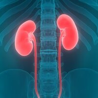 Covid-19 böbrekleri de vuruyor!