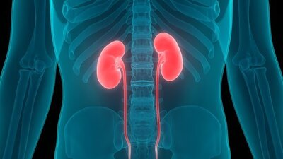 Covid-19 böbrekleri de vuruyor!