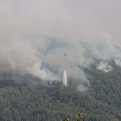 Adana'da yangın sürüyor! 200 hektar orman yok oldu!