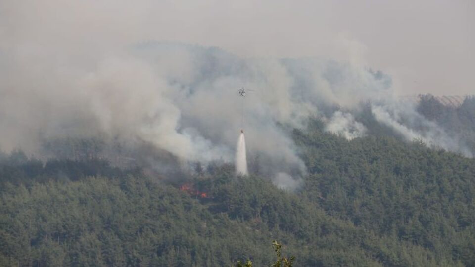 Adana'da yangın sürüyor! 200 hektar orman yok oldu!