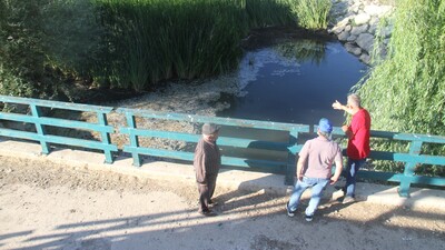 Konya'daki balık ölümleriyle ilgili önemli gelişme!