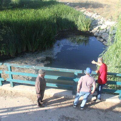 Konya'daki balık ölümleriyle ilgili önemli gelişme!