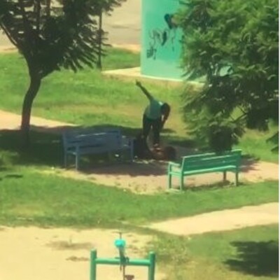 Şiddete müdahaleye hukuk ne diyor?