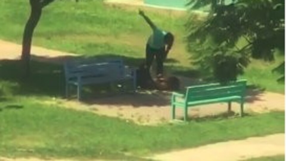 Şiddete müdahaleye hukuk ne diyor?