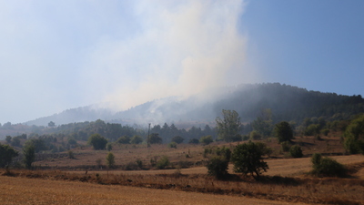 Bir orman yangını da Kastamonu'da çıktı!