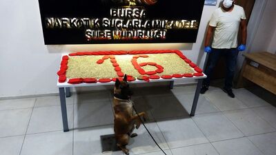 Fırtına-16 operasyonu! 100 bin uyuşturucu hap ele geçirildi