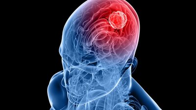 Hormonların vücuda etkisi ve hormon türleri