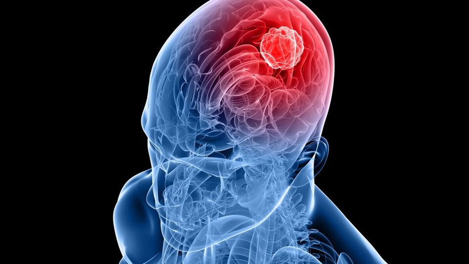 Hormonların vücuda etkisi ve hormon türleri