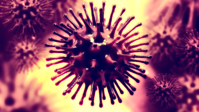 Bakterilerin ölüm çığlığı diğer bakterileri uyarıyor