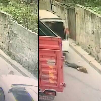 Dehşet anı! Küçük kızı ezdi