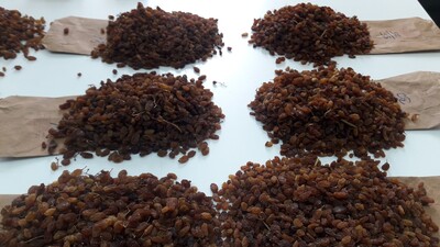 Kuru üzüm alım fiyatı açıklandı