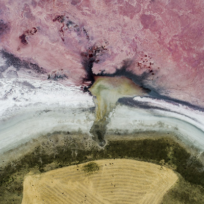 Kuş cenneti pembeye döndü... "Çarpıcı olsa da acı verici"