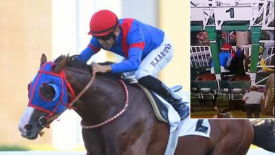 Halis Karataş bindiği atı yumrukladı!