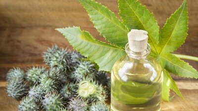 Hint yağının olumlu ve olumsuz etkileri