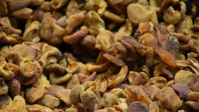 Malatya'dan 115 ülkeye ihraç edildi