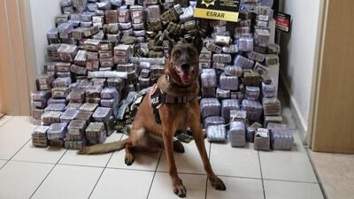 Lojistik firmasına uyuşturucu operasyonu!