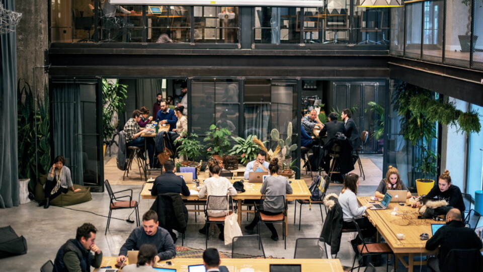 Yerli girişimlerin yüzde 95'i online