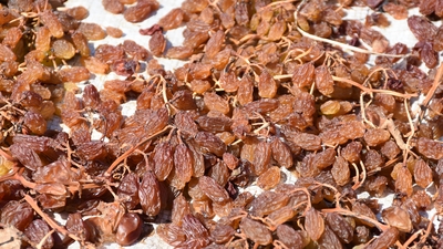 Çekirdeksiz kuru üzümde hedef büyüdü