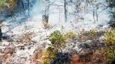 Marmaris'te orman yangını!