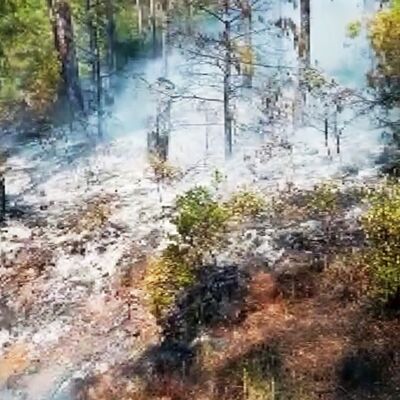 Marmaris'te orman yangını!