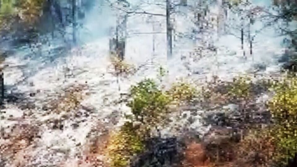 Marmaris'te orman yangını!