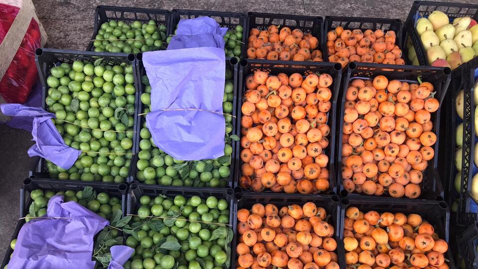 İhracatı 1 milyar dolara ulaştı