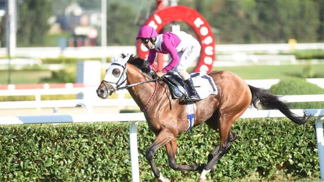 94. Gazi Koşusu'nun kazananı Call to Victory!