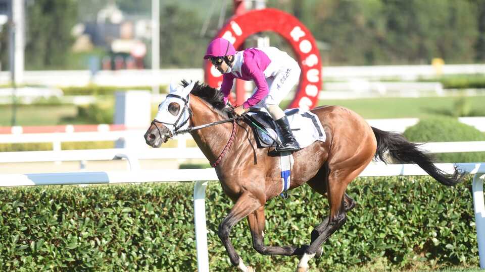 94. Gazi Koşusu'nun kazananı Call to Victory!