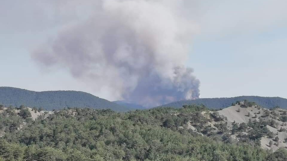 Başkentte korkutan orman yangını!