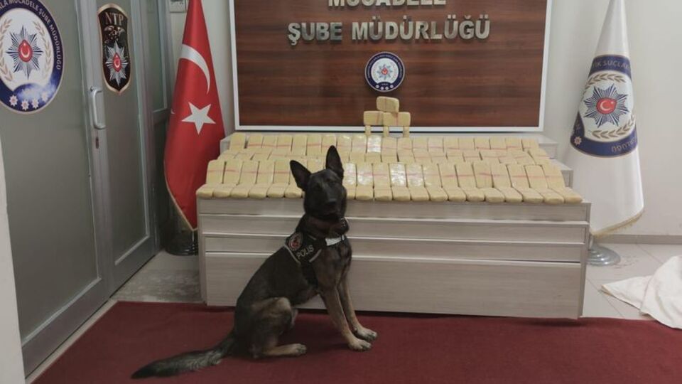 45 kilo eroini 'Rexo' buldu