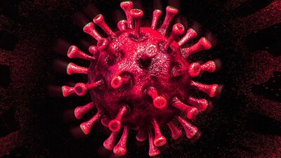 Korkutan araştırma! Virüsü haftalarca taşıyabiliyorlar...