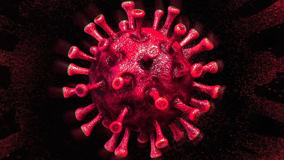 Korkutan araştırma! Virüsü haftalarca taşıyabiliyorlar...