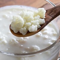 Şifa kaynağı kefir mayası için tarifler