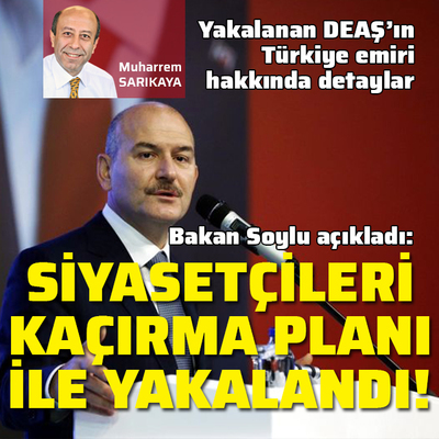 Soylu: Bazı siyasileri kaçırma planlarıyla yakalandı