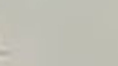 MSB'den dağ keçisi sürüsü paylaşımı