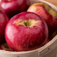 Elmanın içerdiği vitaminler ve yararları