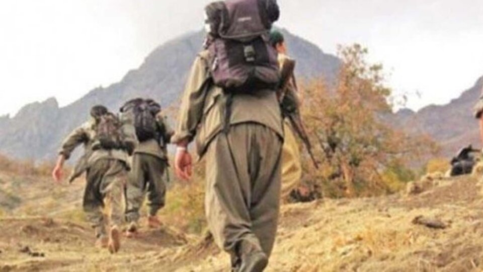 Şırnak'ta iki terörist daha teslim oldu