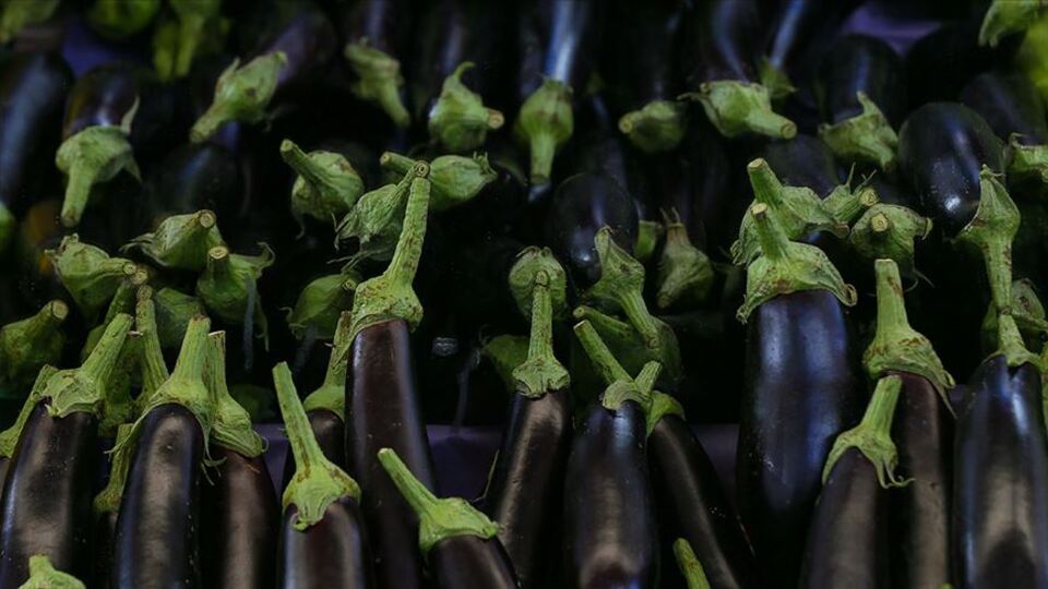 İstanbul'da zam şampiyonu patlıcan