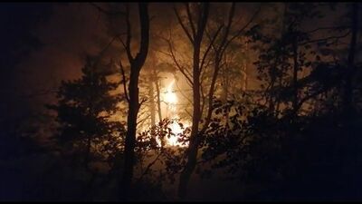 Tokat'ta orman yangını