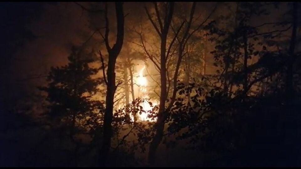 Tokat'ta orman yangını