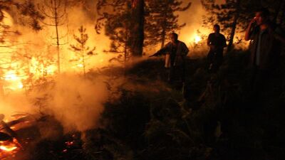 Bolu'da orman yangını kontrol altına alındı