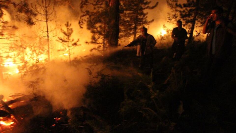 Bolu'da orman yangını kontrol altına alındı