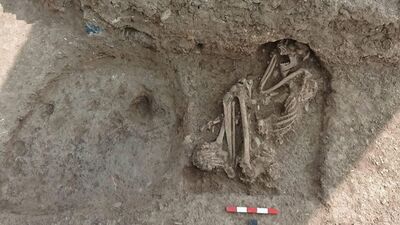 Bilecik'te boş arazide bulunmuştu... İncelenecek